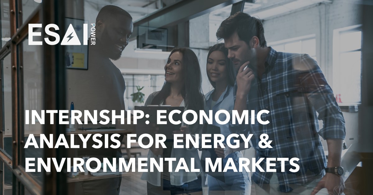 Internship Economic Analysis for Energy and Environmental Markets