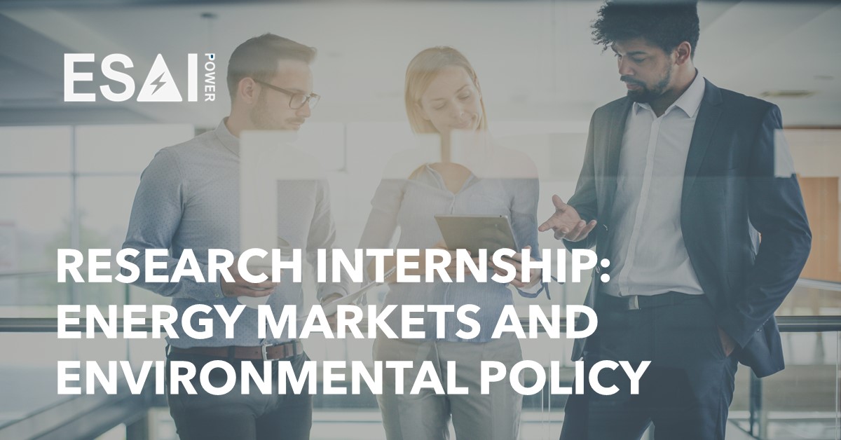 Research Internship Energy Markets and Environmental Policy